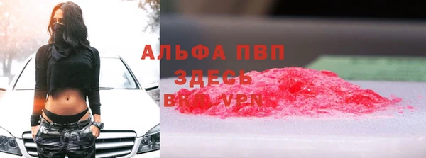 ПСИЛОЦИБИНОВЫЕ ГРИБЫ Барнаул