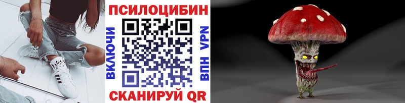 Псилоцибиновые грибы прущие грибы  нарко площадка как зайти  Нерчинск 
